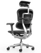 Ergohuman Elite 2 Leather Black