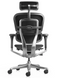Ergohuman Elite 2 Leather Black