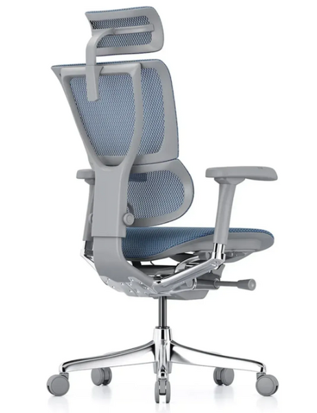 Mirus-IOO 2 Grey/Cobalt