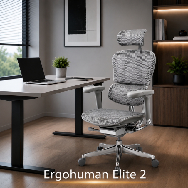ERGOHUMAN LUXURY 2