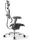 Ergohuman Project 2 Black