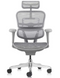 Ergohuman Project 2 Grey