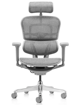 Ergohuman Ultra Grey